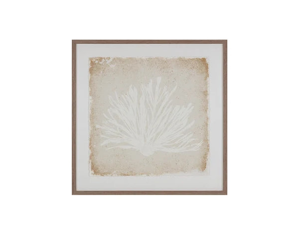 Picture of Aquatic Flora I - 40" x 40" - Medium Brown Frame
