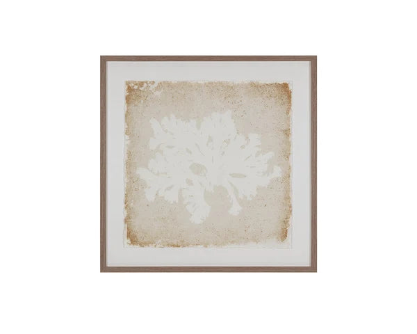 Picture of Aquatic Flora II - 40" x 40" - Medium Brown Frame