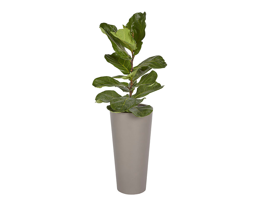Picture of Arbor Planter - Small
