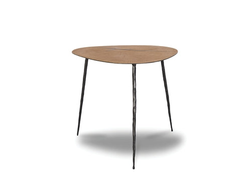 Picture of Oakley End Table - Low