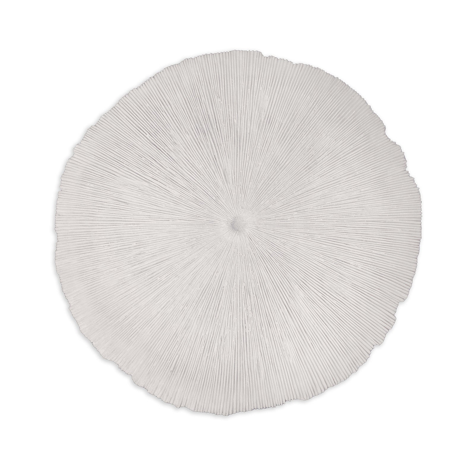 Picture of Sand Dollar - Large