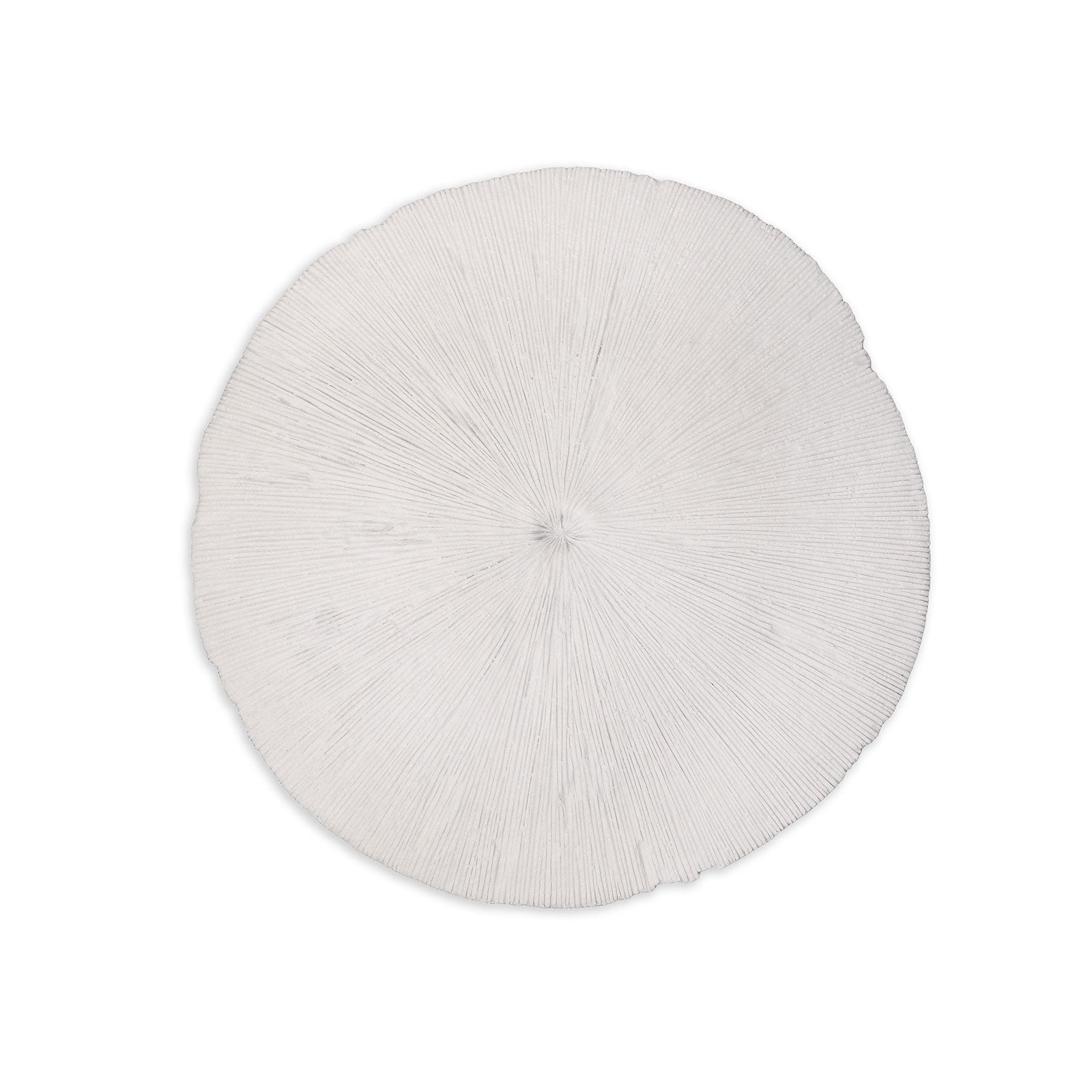 Picture of Sand Dollar - Medium