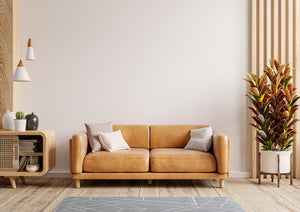 Modern Sofa Trends in 2024: A Sneak Peak Into What the Experts Say