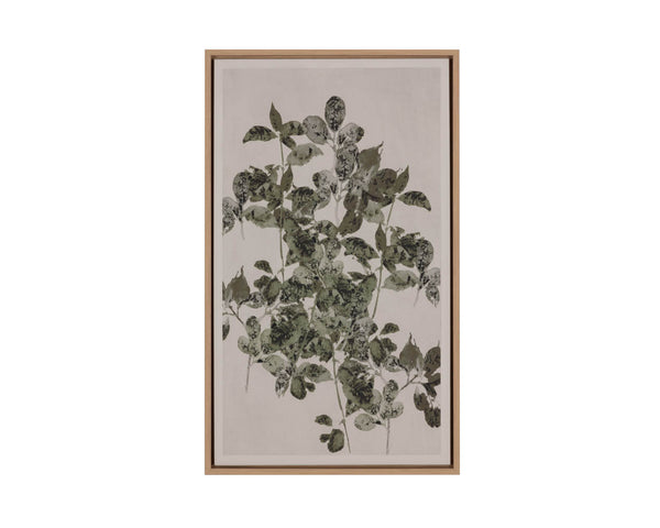 Picture of Botanical Study I - 18.5" x 31" - Natural Floater Frame