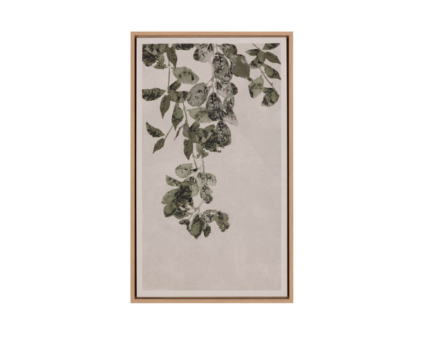 Picture of Botanical Study II - 18.5" x 31" - Natural Floater Frame