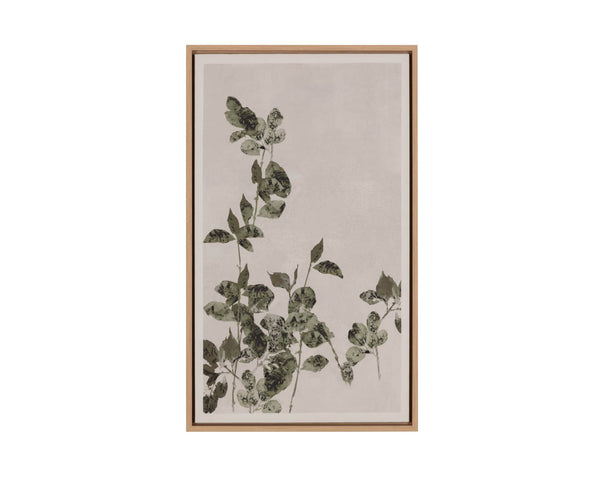 Picture of Botanical Study III - 18.5" x 31" - Natural Floater Frame