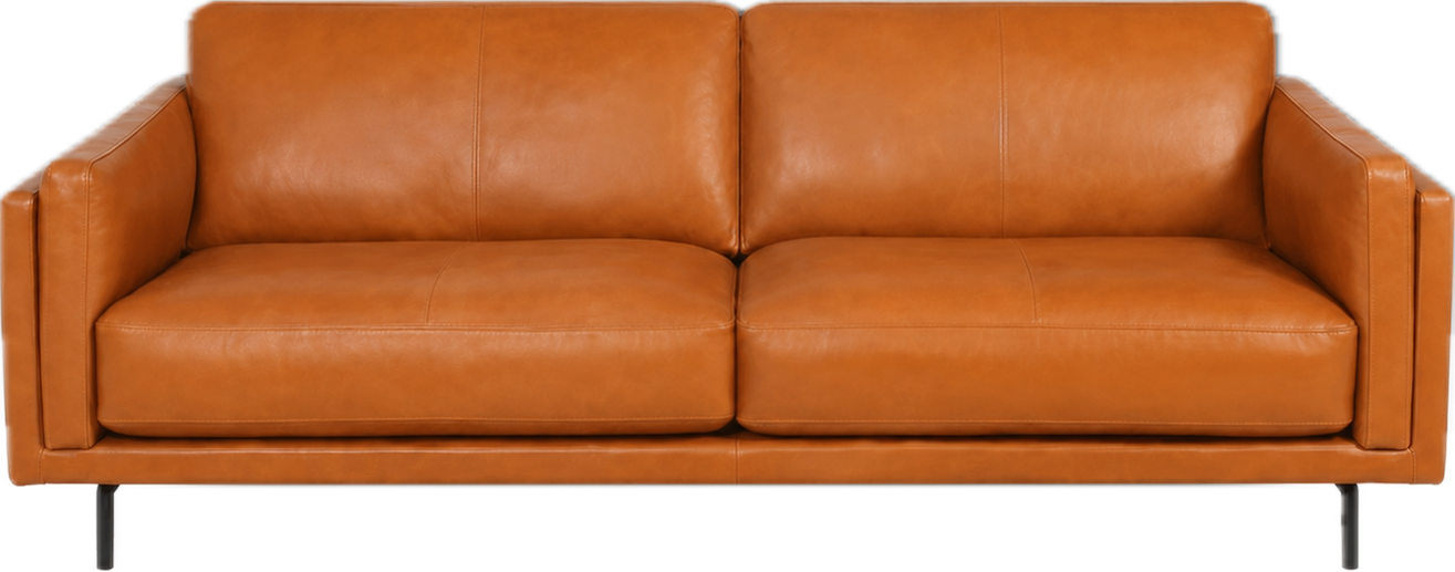 Picture of Reeses Condo Sofa - Leather SPL
