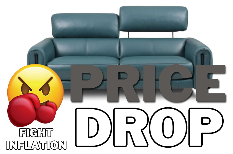 Picture of Coco Reclining Sofa PRICE DROP - Leather SPL