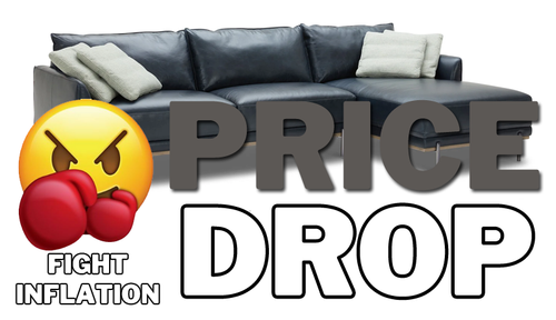 Mach Sectional PRICE DROP - Leather