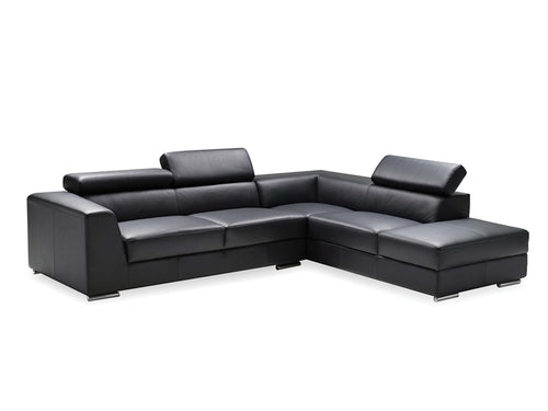 Hydra Sectional