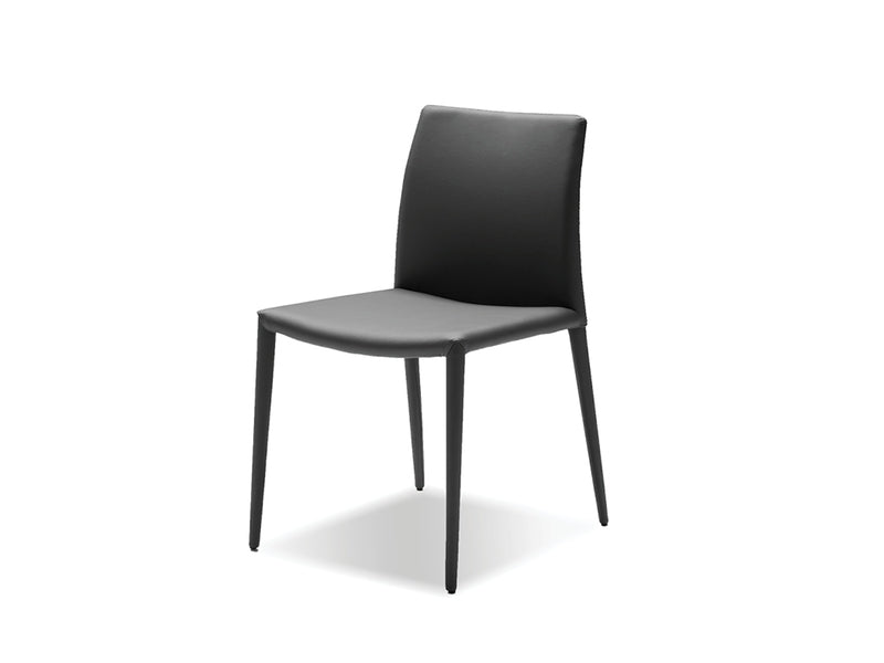 Picture of Zeno Dining Chair
